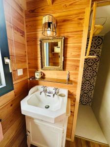 a bathroom with a sink and a mirror at cab Anne in Léon