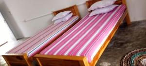 two beds in a room with striped sheets and pillows at The surf hostel in Panama