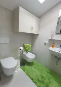a bathroom with a toilet and a sink and a green rug at Ferienwohnungen JoJaSa in Laces +199 photos