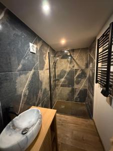 a bathroom with a shower with a toilet in it at Appartement et spa in Douai +17 photos