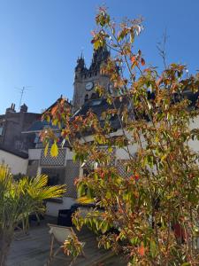 a building with a clock tower behind a tree at Appartement et spa in Douai