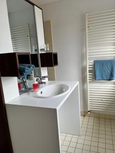 a bathroom with a white sink and a mirror at Gasthaus Adler Weilheim, Waldshut in Weilheim