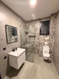 a bathroom with a sink and a toilet and a tv at Apartments Lialda in Donji Štoj