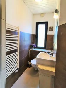 a bathroom with a sink and a toilet and a window at BlueNote Loissin in Loissin
