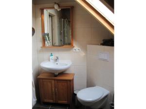 a bathroom with a sink and a toilet at Ferienhaus auf dem Hof Lechner in Drieschnitz