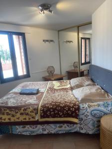a bedroom with a large bed and a mirror at Occitanie in Bazus