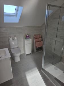 a bathroom with a toilet and a glass shower at Sheehan's in Bealaclugga +9 photos
