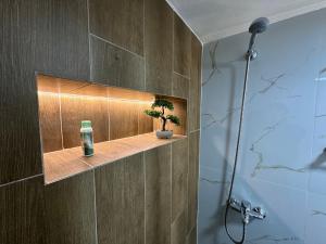 a bathroom with a shelf with a bottle and a plant at Manga guesthouse in Gjirokastër