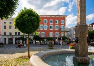 a fountain with a tree in front of a building at Seethal in Laufen
