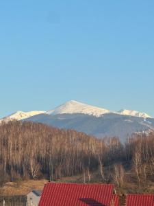 a view of a mountain with a red roof at Woodxury in Petrila