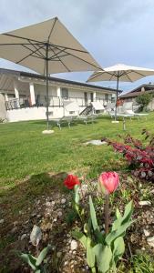 two umbrellas and flowers in a yard with a building at APPARTAMENTO " Le Terre del Garda " in Castelnuovo del Garda