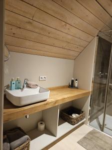 a bathroom with a sink and a shower at B&B Chocla-dort in Koekelare +13 photos
