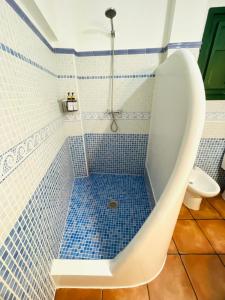 a bathroom with a shower with a blue and white tiles at Casa Isabel in El Gastor +12 photos