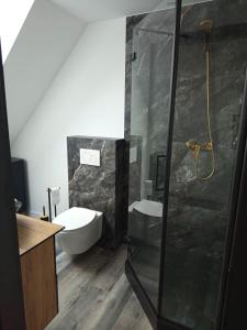 a bathroom with a shower and a toilet and a sink at Miła Przystań in Debrzno