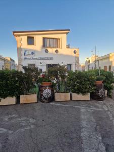 a group of potted plants in front of a building at La Cambusa B&B in Cocumola