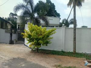 a small tree in front of a white fence at Omik Residence in Dinapamunuwa