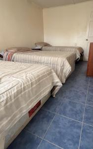 three beds are lined up in a room at Alojamiento casa en Toconao, chile in Toconao