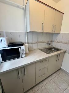 a kitchen with a microwave and a sink at Focus Home in Miercurea-Ciuc +10 photos