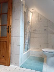 a bathroom with a shower and a toilet and a door at Forsthaus Stagnieß in Ueckeritz +24 photos
