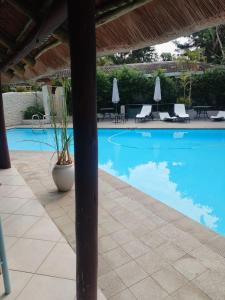 a large swimming pool with chairs and umbrellas at Peaceful Nest in St Lucia