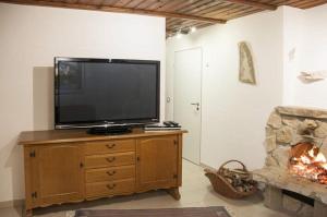 uma televisão numa cómoda numa sala com lareira em Haus "Am Mühlheimer Berg" em Mörnsheim