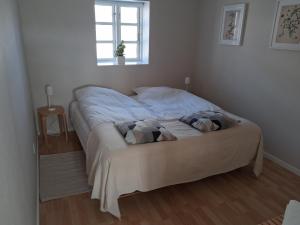 a bed in a small room with a window at Sønderborg Kær Vestermark in Sønderborg