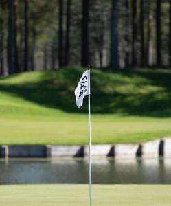 a golf course with a flag on the green at Mayas Stuga in Sölvesborg
