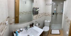 a bathroom with a sink and a shower and a toilet at El rincon de Adriana in Alquézar