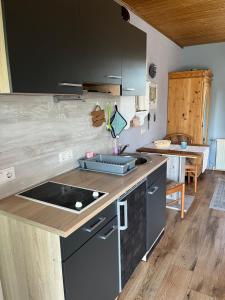 a kitchen with a sink and a counter top at Apartment Rotdornblüte in Wustrow
