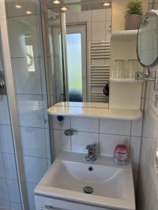 a bathroom with a sink and a mirror and a shower at Apartment Rotdornblüte in Wustrow