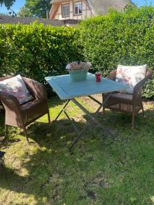 a picnic table with two chairs and a pot of flowers at Apartment Rotdornblüte in Wustrow