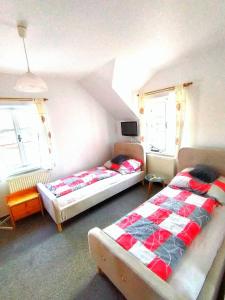 a bedroom with two beds and two windows at Penzion Andy in Děčín
