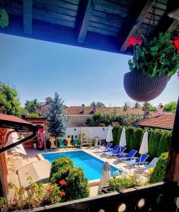 a swimming pool with chairs and a potted plant at Guest house Zlateya in Madara