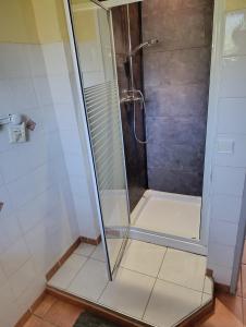 a shower stall with a glass door in a bathroom at Gite Agnès & J-Pierre en étage Evasion spa option in Pierre-Châtel +37 photos