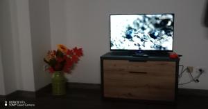 a television sitting on a dresser with a vase of flowers at S1 Home Sila in Camigliatello Silano
