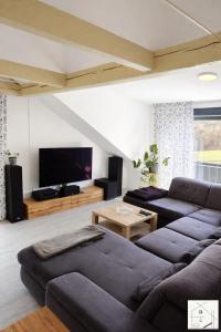 ein Wohnzimmer mit zwei Sofas und einem Flachbildfernseher in der Unterkunft Lichtloft Fränkische Schweiz in Ebermannstadt