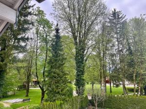 a park with trees and a bench in the grass at Ferienwohnung IMMI in Ruhpolding