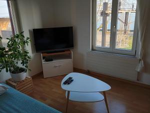 Gallery image of Erste Linie See Wohnung in Rorschach +25 photos
