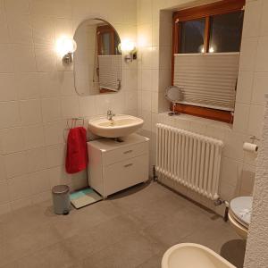 a bathroom with a sink and a toilet at Ferienwohnung Röder am Schwimmteich in Bischofsheim an der Rhön