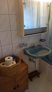 a bathroom with a sink and a mirror and a basket at Ferme en pleine nature in Boudevilliers +14 photos