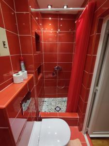 a red tiled bathroom with a shower and a toilet at Old town Budva D&M in Budva +12 photos