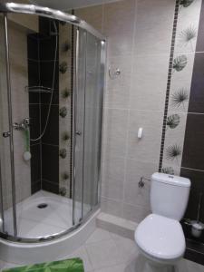 a bathroom with a shower and a toilet and a tub at Apartament U Janusza in Nowy Targ