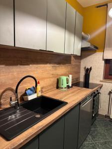 a kitchen with a sink and a counter top at Laganini Cozy Home in Velika Mlaka