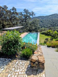 a swimming pool in a yard with plants at Finca Bravo in Cortegana