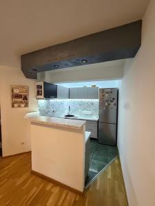 a kitchen with a sink and a refrigerator at Pasha House in Belgrade