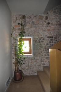 a room with a stone wall with a plant at Resataurant and Rooms Cabrit in Sant Mateu