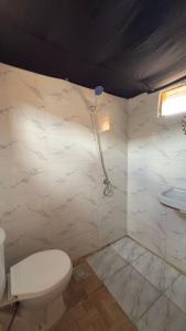 a bathroom with a toilet and a shower at Anne Nuweiba in Nuweiba