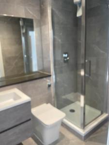 a bathroom with a shower and a toilet and a sink at Top-end penthouse with sea views and free parking in Ramsgate +2 photos