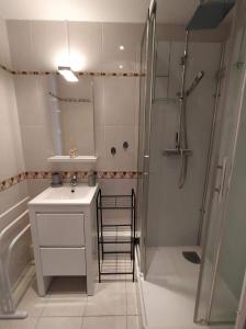 a bathroom with a shower and a sink and a mirror at La Clé des Sternes in Camiers