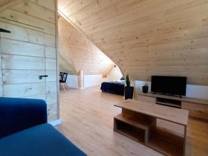 a living room with wooden walls and a tv and a couch at Kobakówka in Krynica Zdrój